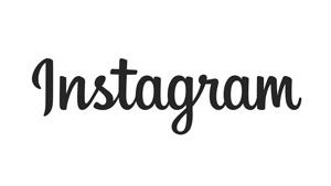 Instagram logo - Annette C. Sage